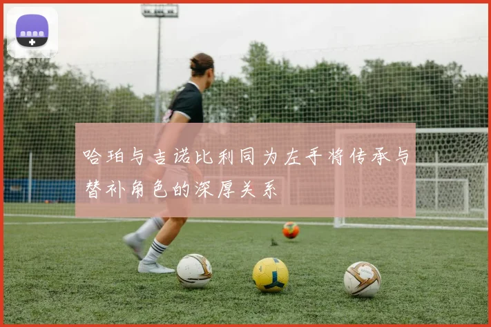 哈珀与吉诺比利同为左手将传承与替补角色的深厚关系